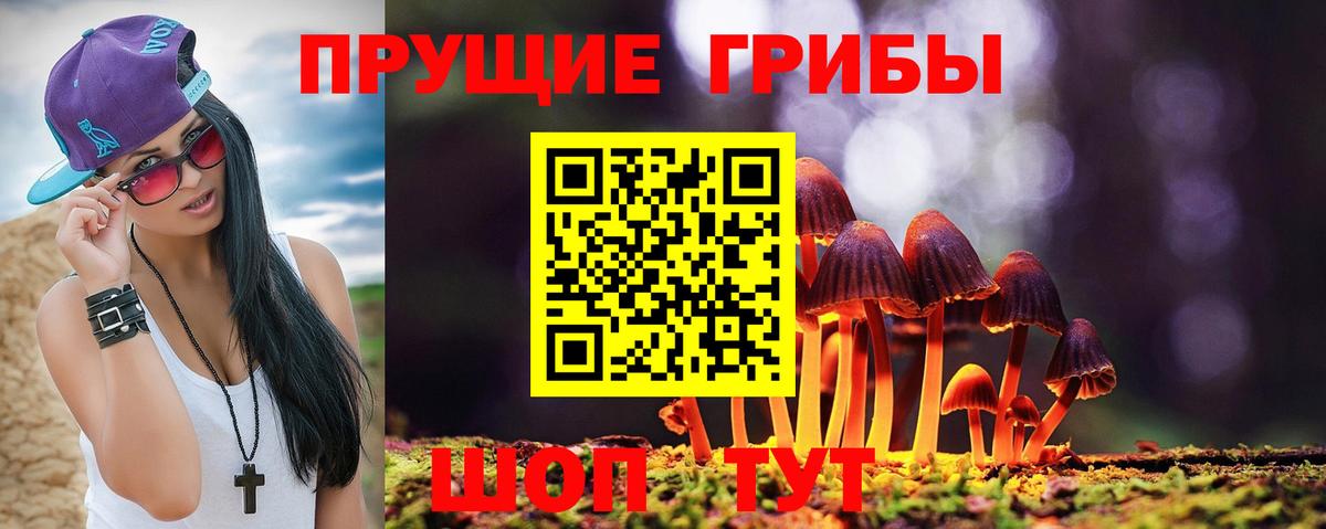 Псилоцибиновые грибы Psilocybine cubensis Котельники